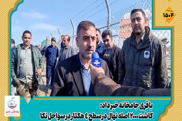 کاشت ۲۰۰۰ اصله نهال در سطح ۴ هکتار در سواحل نکا