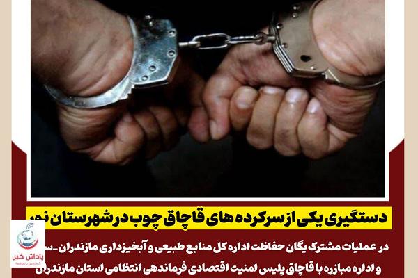 دستگیری یکی از سرکرده های قاچاق چوب در شهرستان نور