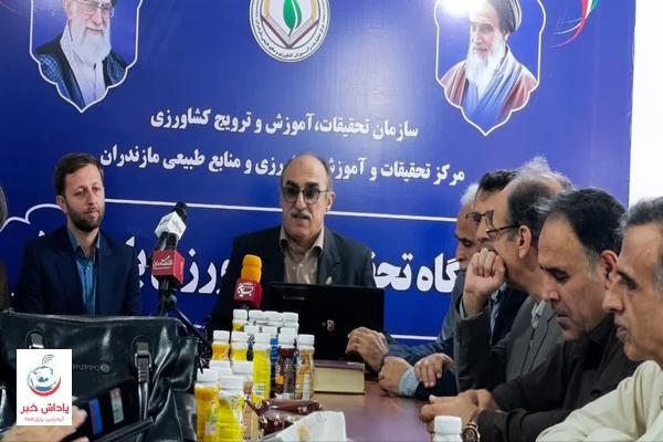 نقشه راه نوین امنیت غذایی در شمال کشور؛ از سنگر تحقیقات تا مزرعه